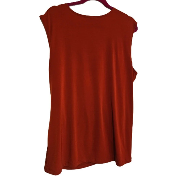 Hiatus Rust/Brown Cross-over Top - Picture 2 of 5